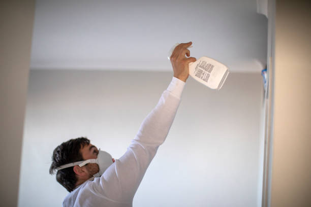 Best Fast Mold Removal  in Colorado City, AZ