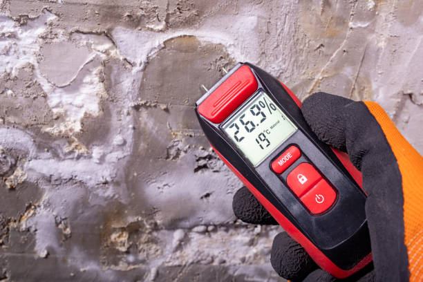 Crawl Space Mold Removal in Colorado City, AZ